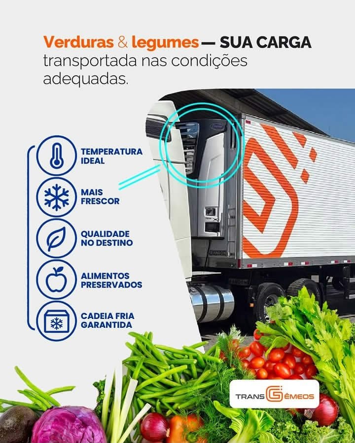 Conteúdo desenvolvido para cliente da TranspoMarketing