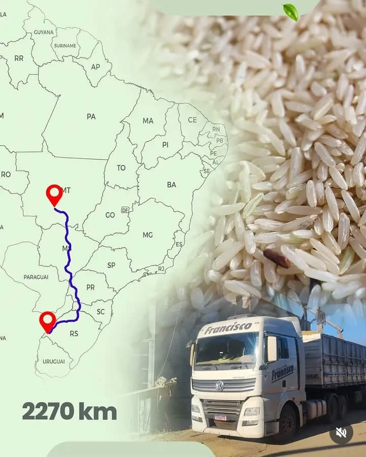 Conteúdo desenvolvido para cliente da TranspoMarketing