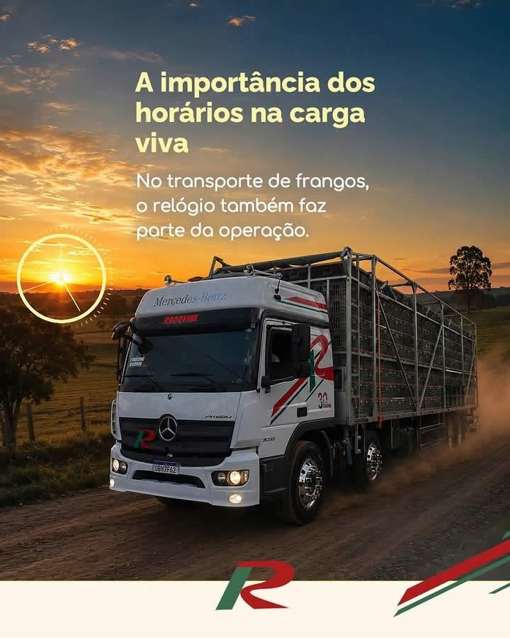 Conteúdo desenvolvido para cliente da TranspoMarketing